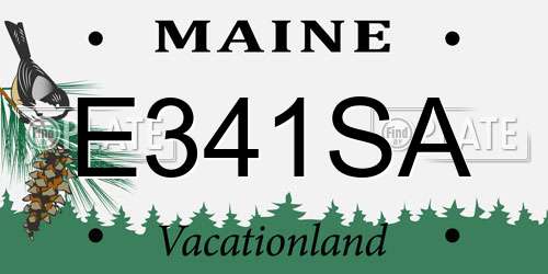E341SA Maine License Plate