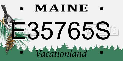 E35765S Maine License Plate