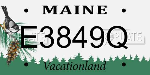 E3849Q Maine License Plate
