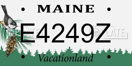 E4249Z Maine License Plate