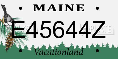 E45644Z Maine License Plate