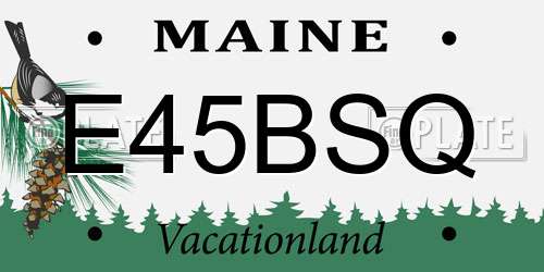 E45BSQ Maine License Plate