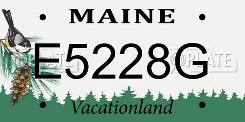 E5228G Maine License Plate