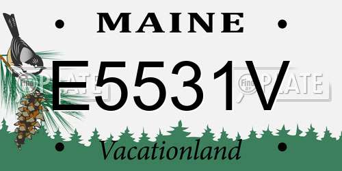 E5531V Maine License Plate