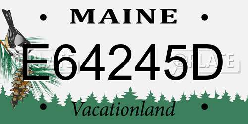 E64245D Maine License Plate