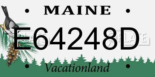 E64248D Maine License Plate