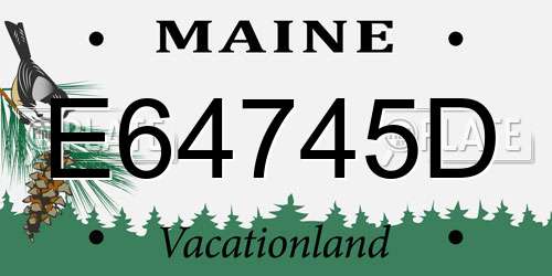 E64745D Maine License Plate