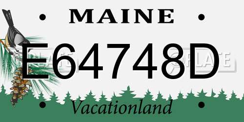 E64748D Maine License Plate