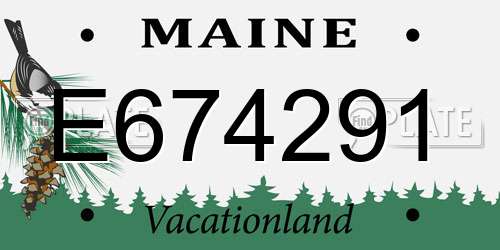 E674291 Maine License Plate