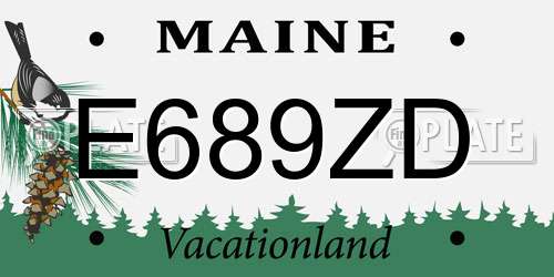 E689ZD Maine License Plate