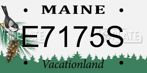 E7175S Maine License Plate