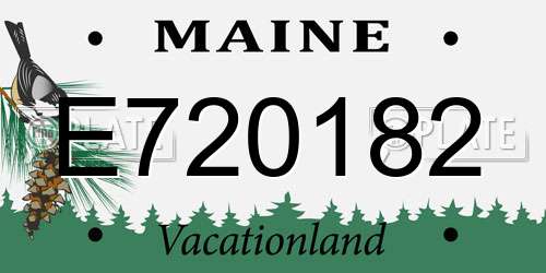 E720182 Maine License Plate