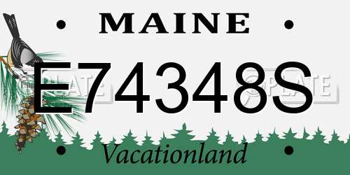 E74348S Maine License Plate