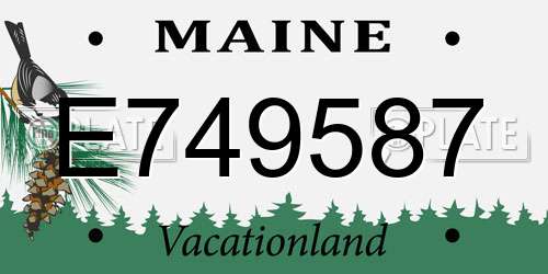 E749587 Maine License Plate