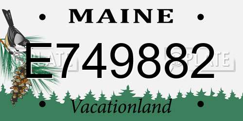 E749882 Maine License Plate