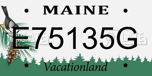 E75135G Maine License Plate