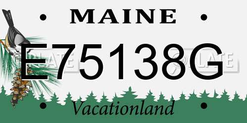 E75138G Maine License Plate