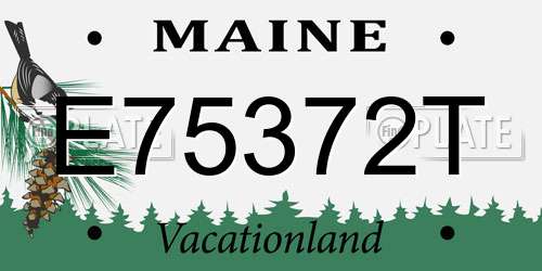 E75372T Maine License Plate