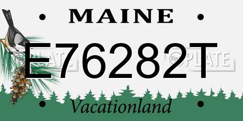 E76282T Maine License Plate