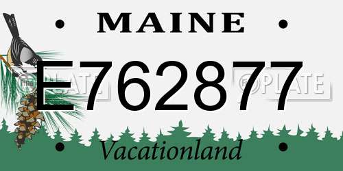 E762877 Maine License Plate
