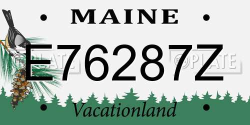 E76287Z Maine License Plate
