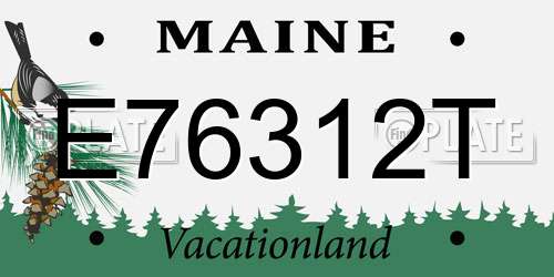 E76312T Maine License Plate