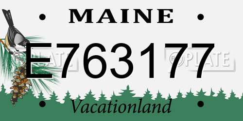 E763177 Maine License Plate