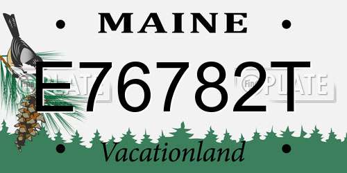 E76782T Maine License Plate