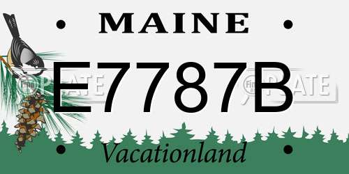 E7787B Maine License Plate