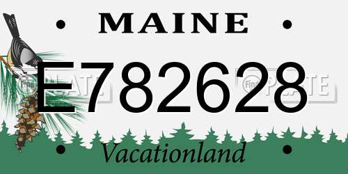 E782628 Maine License Plate