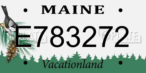 E783272 Maine License Plate