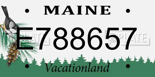 E788657 Maine License Plate