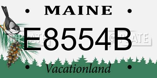 E8554B Maine License Plate
