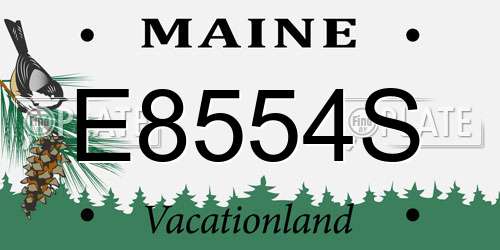 E8554S Maine License Plate