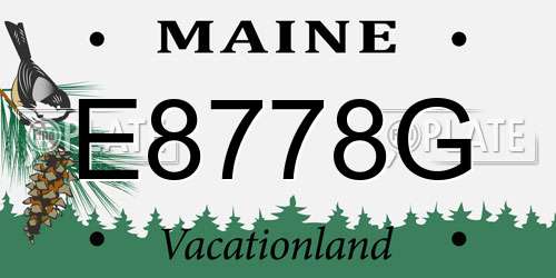 E8778G Maine License Plate
