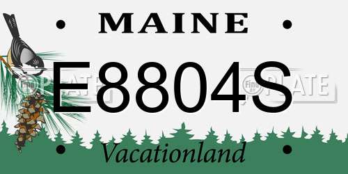 E8804S Maine License Plate