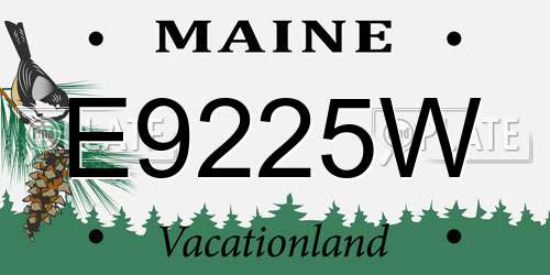 E9225W Maine License Plate