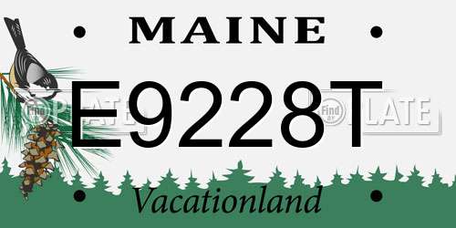 E9228T Maine License Plate