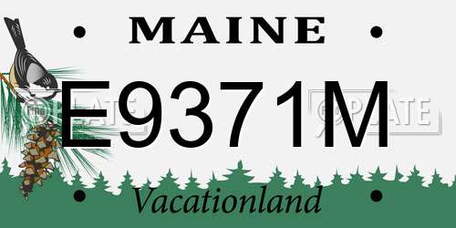 E9371M Maine License Plate