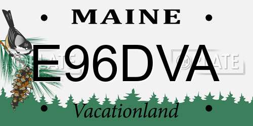 E96DVA Maine License Plate
