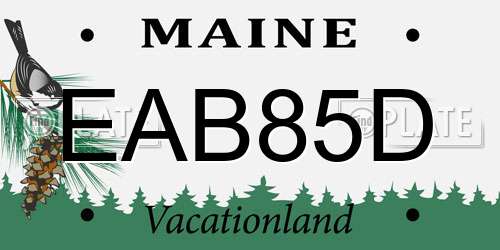 EAB85D Maine License Plate