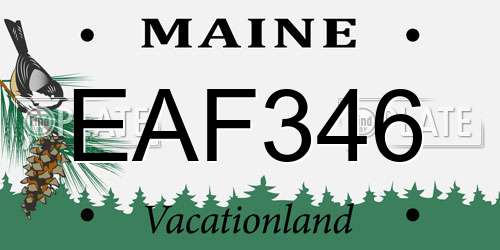 EAF346 Maine License Plate