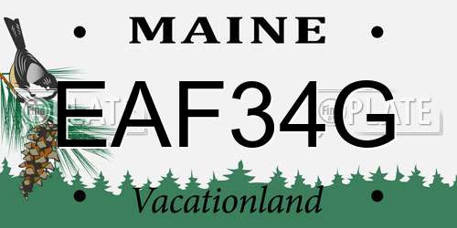 EAF34G Maine License Plate