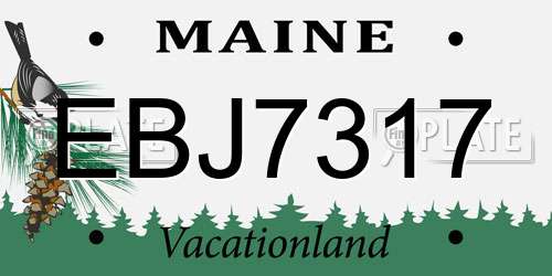 EBJ7317 Maine License Plate