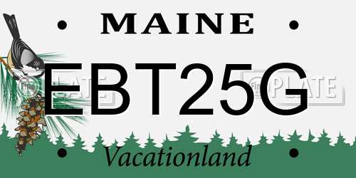 EBT25G Maine License Plate