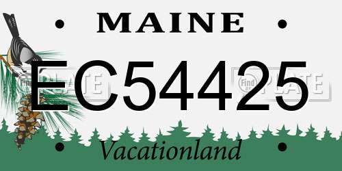 EC54425 Maine License Plate