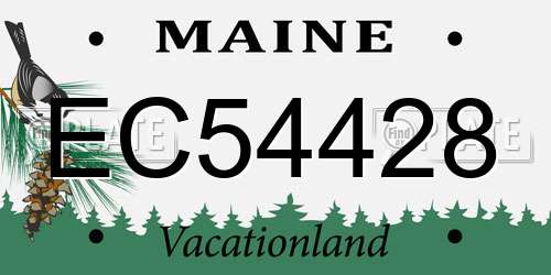 EC54428 Maine License Plate