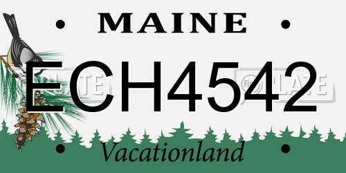 ECH4542 Maine License Plate