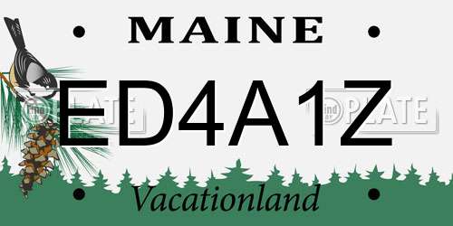ED4A1Z Maine License Plate