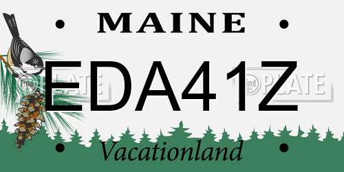 EDA41Z Maine License Plate